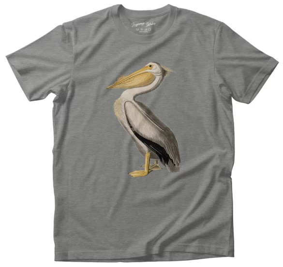 Koszulka American White Pelican James Audubon