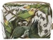 Kosmetyczka kuferek Carolina Parakeet James Audubon