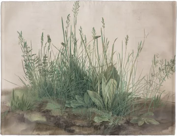 Podkładka na stół Studium traw Albrecht Dürer