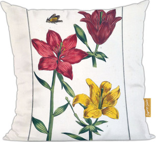Poduszka Lilia czerwona Maria Sibylla Merian