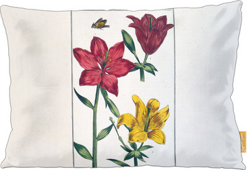 Poduszka Lilia czerwona Maria Sibylla Merian