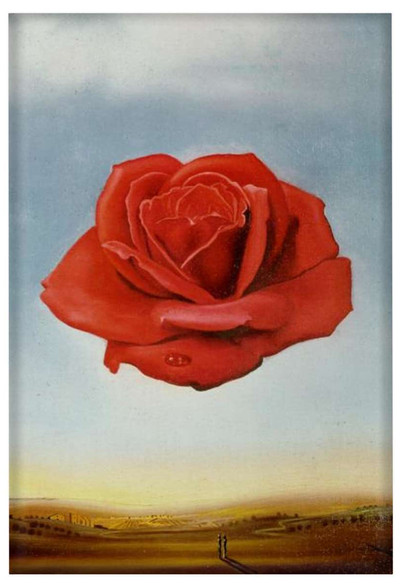 Magnes Róża medytacyjna Salvador Dali