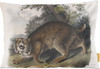Common American Wildcat