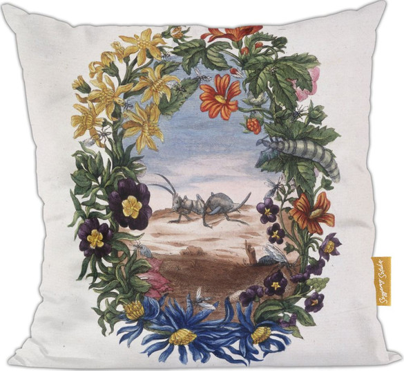 Poduszka Fourmi Maria Sibylla Merian