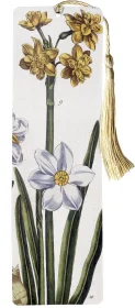 Zakładka do książki Narcyz Maria Sibylla Merian