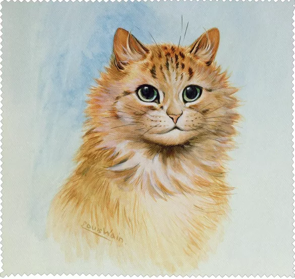 Ściereczka do okularów Imbirowy Tom Louis Wain