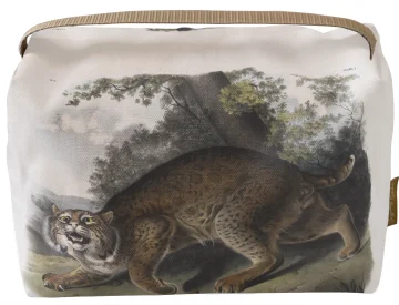 Kosmetyczka kuferek Common American Wildcat James Audubon