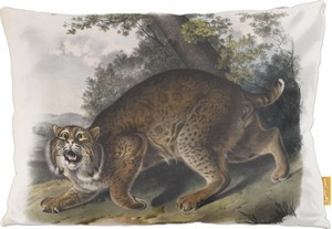 Poduszka Common American Wildcat James Audubon