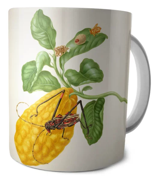 Kubek Cytryna z gąsienicą małpy i chrząszczem harlekin Maria Sibylla Merian