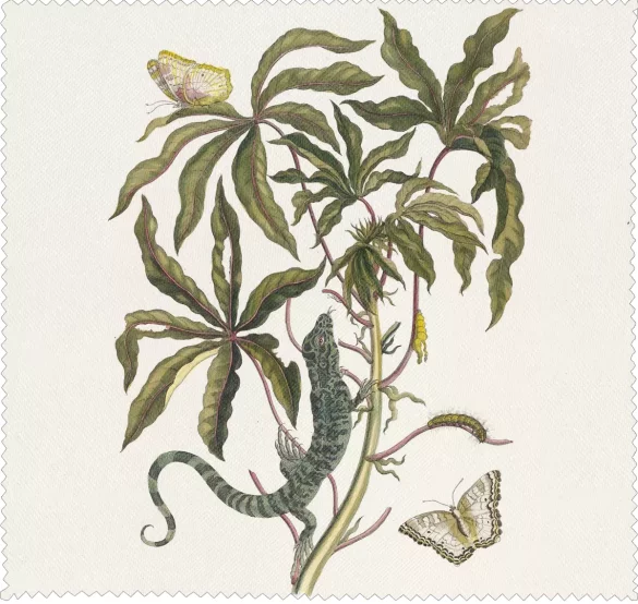 Ściereczka do okularów Cassave Maria Sibylla Merian