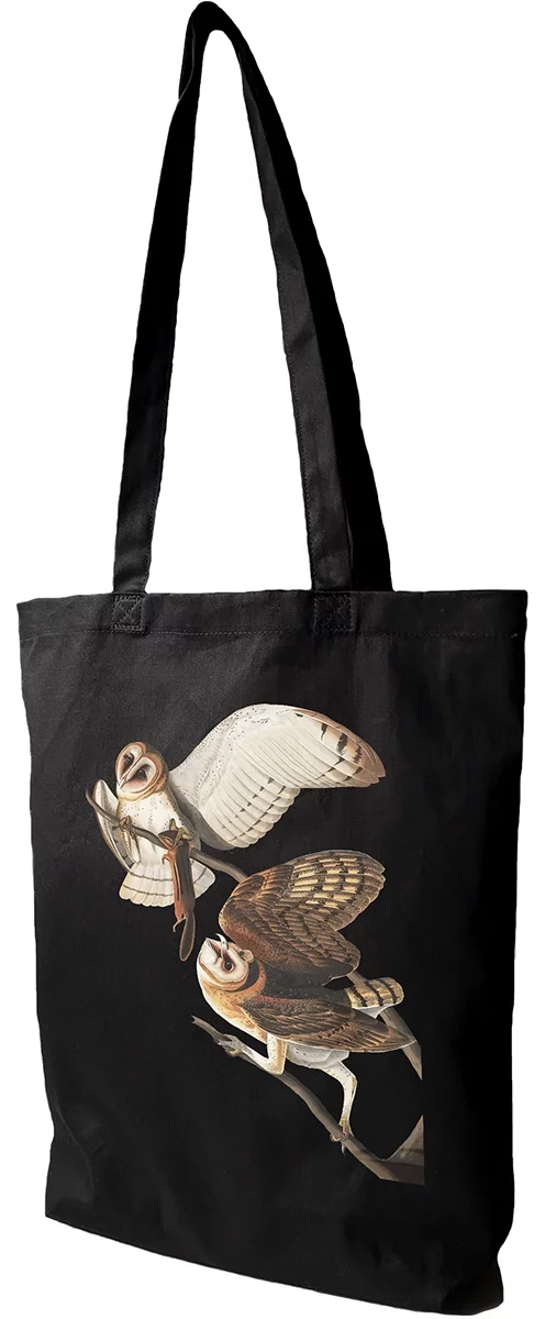 Torba bawełniana Barn Owl, Tyto Alba James Audubon, Czarna