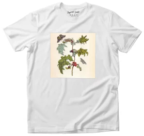 Koszulka z naszywką Metamorfoza owadów Surinamensium Maria Sibylla Merian