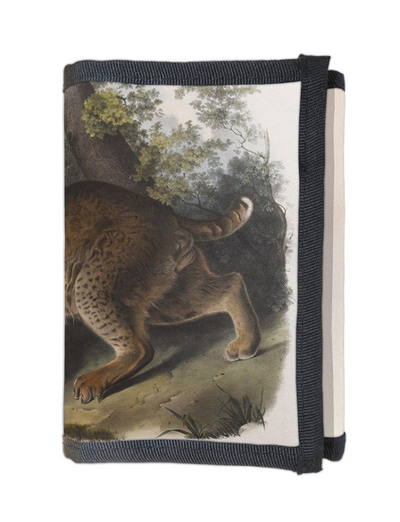 Portfel Common American Wildcat James Audubon