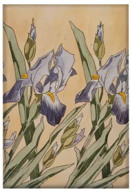 Magnes Irys Koloman Moser