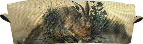 Piórnik Zając Hans Hoffmann