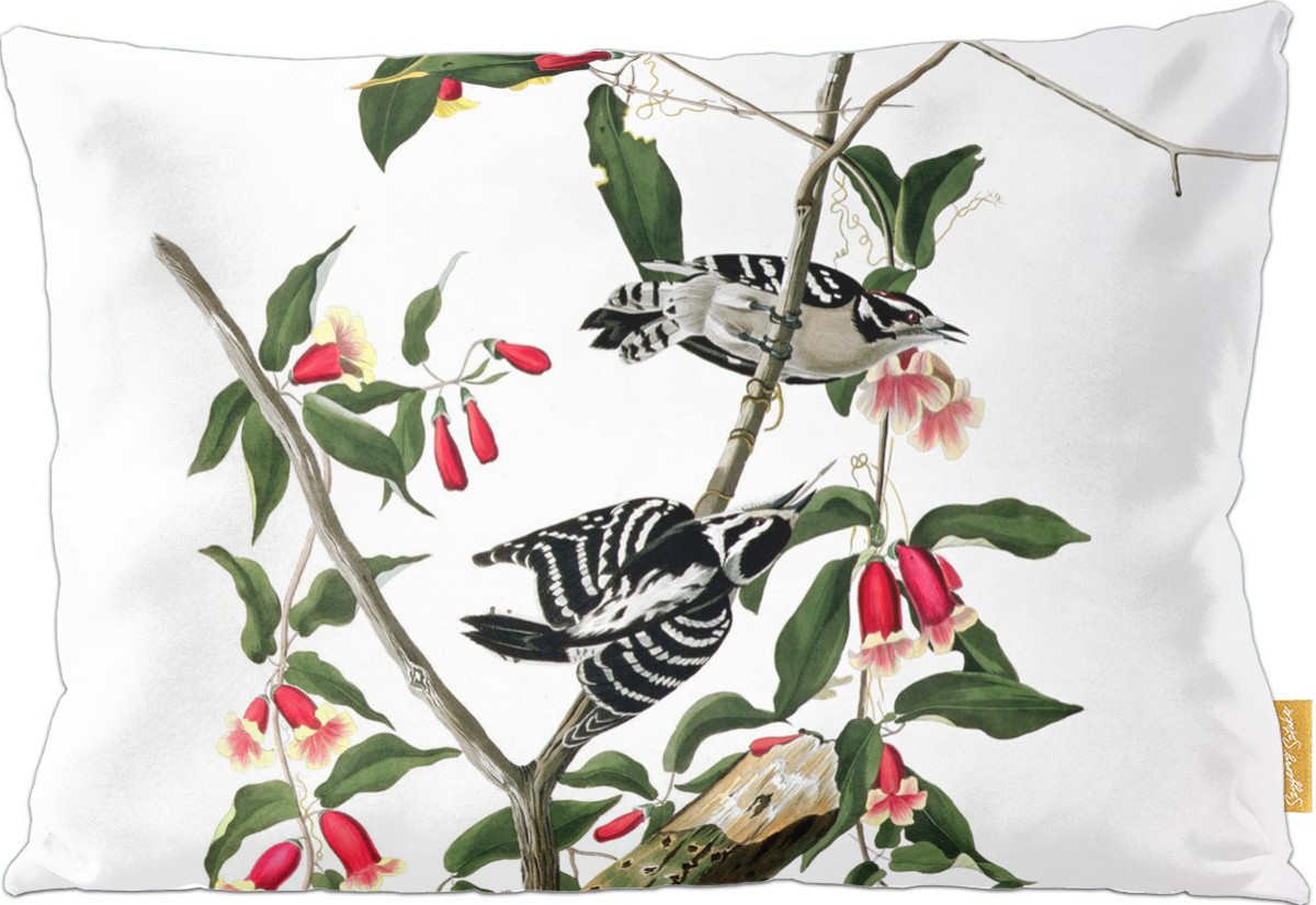 Poduszka dekoracyjna na prezent z obrazem Downy Woodpecker  James Audubon Szyjemy Sztukę