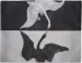 Podkładka na stół Łabędź, Nr 1 Hilma af Klint