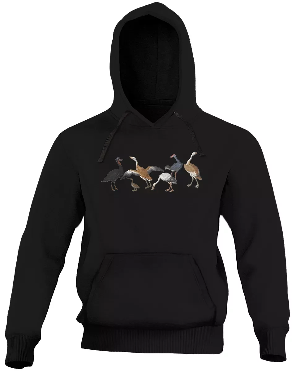 Bluza Czaple i kaczki na rzece Jan van Kessel (starszy)