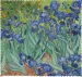 Ściereczka do okularów Irysy Vincent Van Gogh