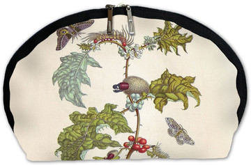 Kosmetyczka Metamorfoza owadów Surinamensium Maria Sibylla Merian