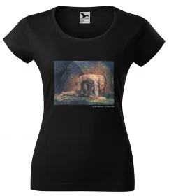 Bluzka damska Nabuchodonozor William Blake