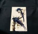 Bluzka damska Magpie Jay James Audubon