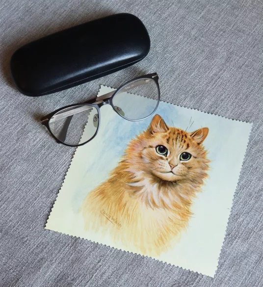 Ściereczka do okularów Imbirowy Tom Louis Wain