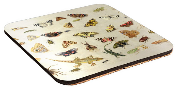 Podkładka pod kubek Studium owadów Jan van Kessel (starszy) 