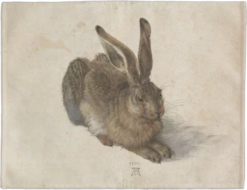 Podkładka na stół Młody zając Albrecht Dürer