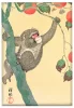 Magnes Małpa na drzewie persymonowym Ohara Koson