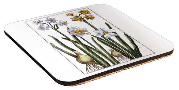 Podkładka pod kubek Narcyz Maria Sibylla Merian