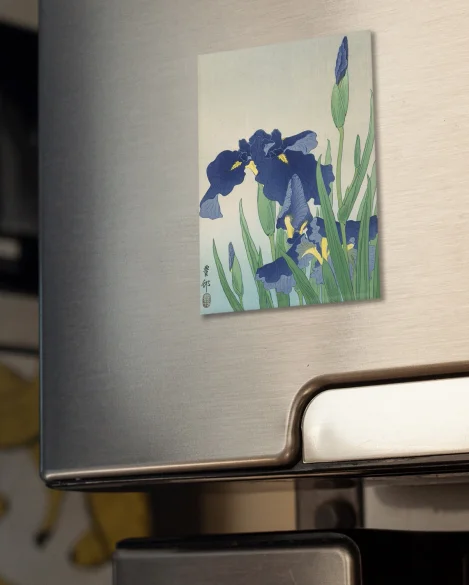 Magnes Irys Ohara Koson