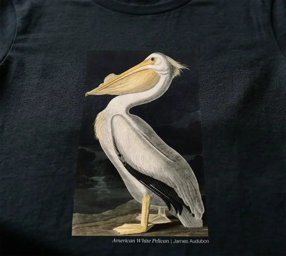 Koszulka z nadrukiem American White Pelican James Audubon