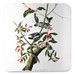 Podkładka pod kubek Downy Woodpecker  James Audubon