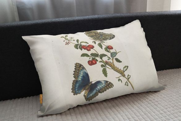 Poduszka Great Blue Butterflies and Red Fruits Maria Sibylla Merian
