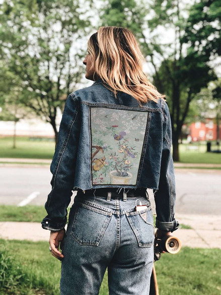 Ekran A Yellow Shafted Flicker James Audubon