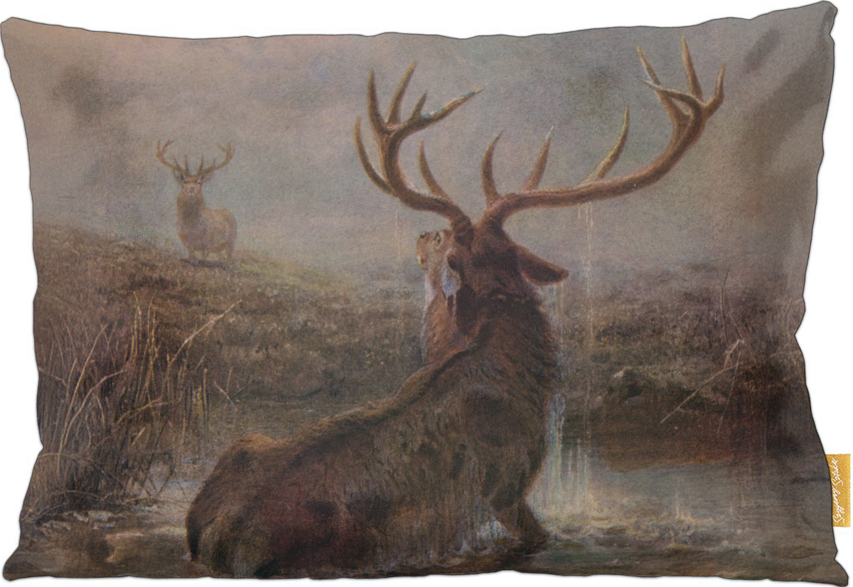 Poduszka dekoracyjna na prezent z obrazem Interrupted Joseph Wolf Szyjemy Sztukę