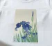 Bluzka damska Irys Ohara Koson