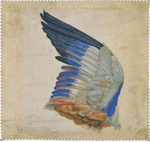 Ściereczka do okularów Skrzydło niebieskiego walca, Kopia oryginału Albrechta Durera Hans Hoffmann