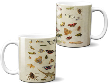 Kubek Studium owadów Jan van Kessel (starszy)