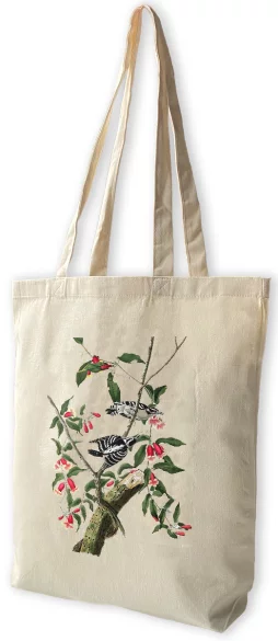 Torba bawełniana Downy Woodpecker  James Audubon