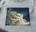 Koszulka z nadrukiem Newton William Blake