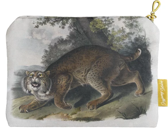 Kosmetyczka mini Common American Wildcat James Audubon