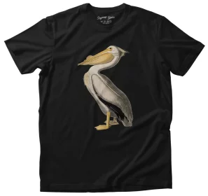 Koszulka American White Pelican James Audubon