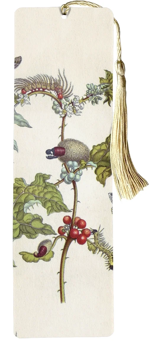 Zakładka do książki Metamorfoza owadów Surinamensium Maria Sibylla Merian