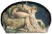 Kosmetyczka Newton William Blake