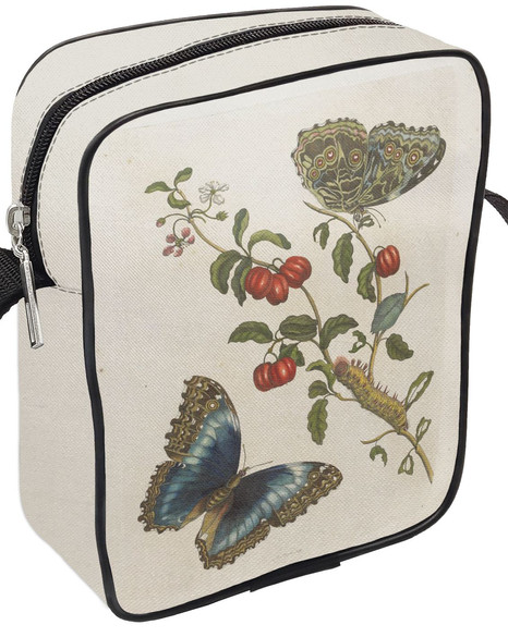 Listonoszka Great Blue Butterflies and Red Fruits Maria Sibylla Merian