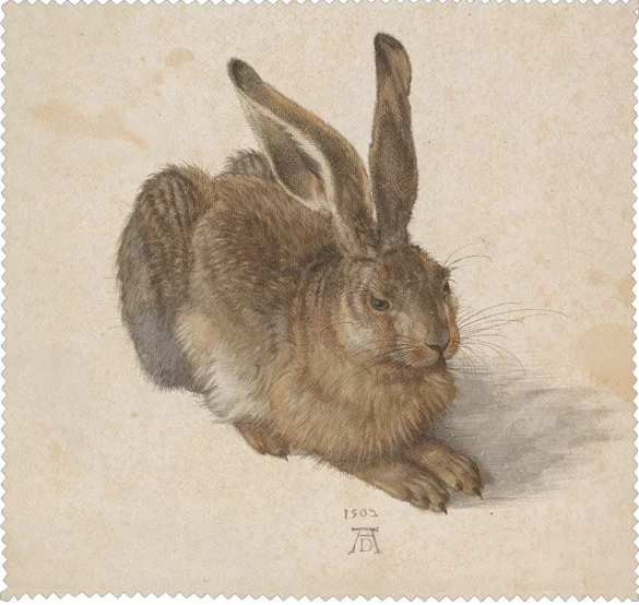 Ściereczka do okularów Młody zając Albrecht Dürer