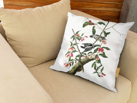 Poduszka Downy Woodpecker  James Audubon