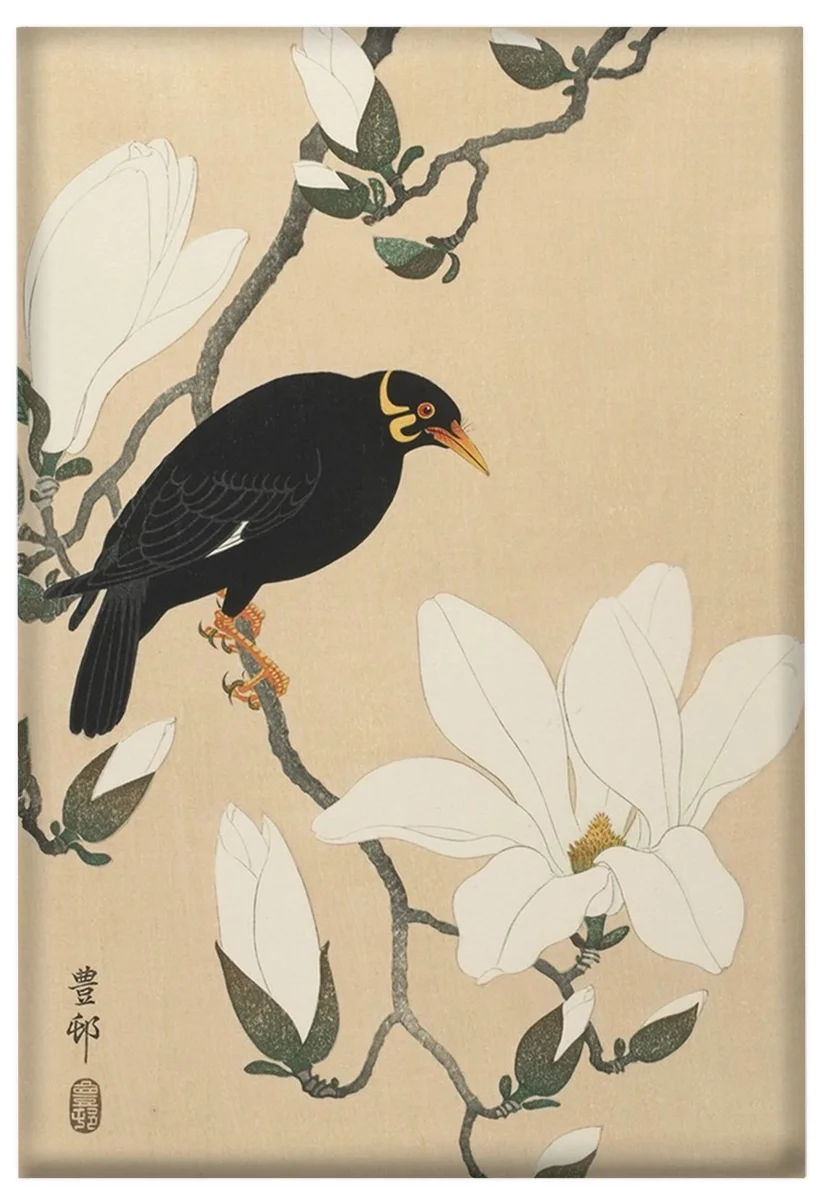 Magnes Wzgórze Myna na gałęzi magnolii Ohara Koson